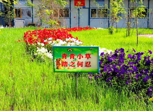 草坪如织，匠心守护——东辉集团精品工程质安管理亮点图片合集之从标准化到精细化的升级