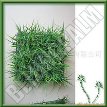 北京棕榈树技术开发有限公司草坪产品列表及技术概述