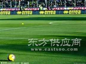 置顶科技运动型人造草坪 专业品质，点燃运动激情