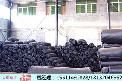 曲周仿真青苔草坪 场地材料施工公司的创新之选
